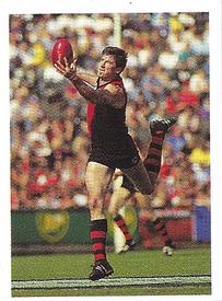 1991 Select AFL Stickers #77 Simon Madden Front